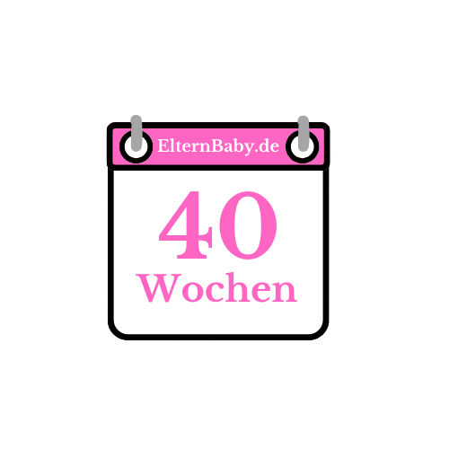 40 Wochen